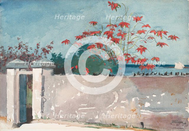 A Wall, Nassau, 1898. Creator: Winslow Homer.