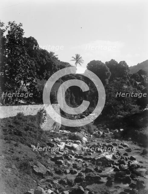 On the road to the Botanical Gardens, Martinique, W.I., between 1880 and 1901. Creator: Unknown.
