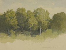 Forest edge near Maulbronn, 1871. Creator: Carl Theodor Reiffenstein.