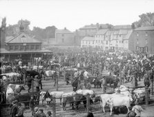The cattle market at Gloucester Green, Oxford, Oxfordshire, c1860-c1922. Artist: Henry Taunt