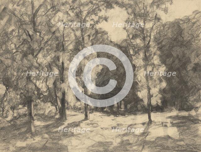 Sun in the forest, 1930-1935. Creator: Ludovit Cordak.