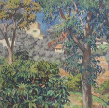 Villas Viewed Through Eucalyptus Trees, La Mortola, c1919-1920. Creator: Rysselberghe, Théo van (1862-1926).