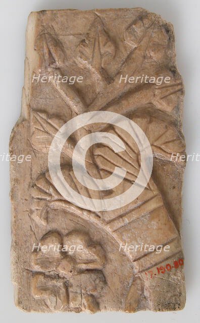 Relief Fragment with Rosette and Lotus Design, Coptic, 6th-7th century. Creator: Unknown.