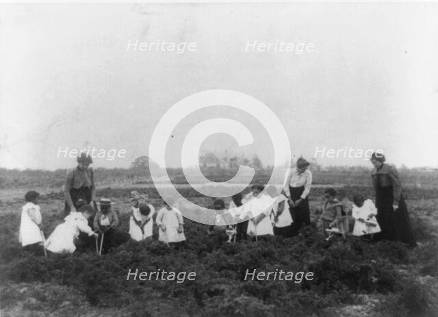 Kindergarten field work, 1899 or 1900. Creator: Frances Benjamin Johnston.