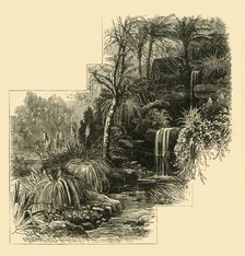 'The Tropical Gardens, Battersea Park', (c1878). Creator: Unknown.