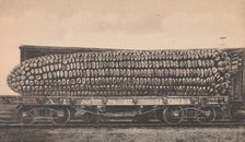 A Car Load of Texas Corn, ca. 1910. Creator: George B. Cornish.