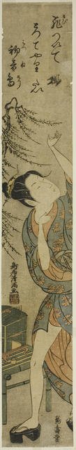Young woman releasing a bird, c. 1760/65. Creator: Torii Kiyomitsu.