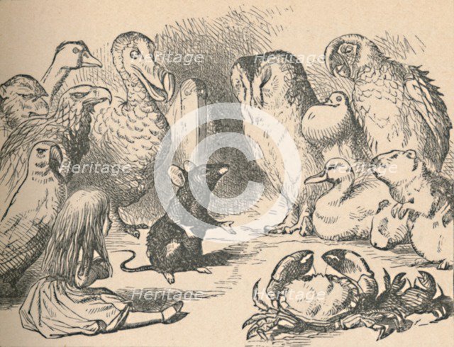 'Illustration for the chapter 'a Caucus-Race and a long tail'. Alice and various creatures, such as  Artist: John Tenniel.