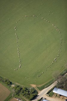 Pattern formed by sheep, Taddington, Stanway, Glocuestershire, 2007. Artist: Historic England Staff Photographer.