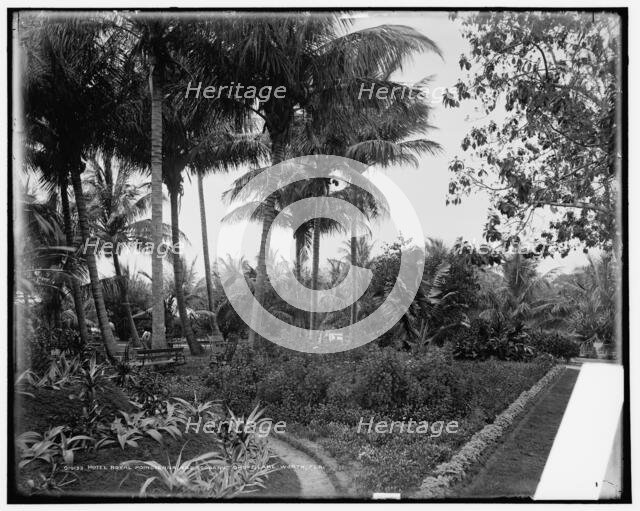 Hotel Royal Poincianna i.e. Poinciana and cocoanut grove, Lake Worth, Fla., c1900. Creator: Unknown.