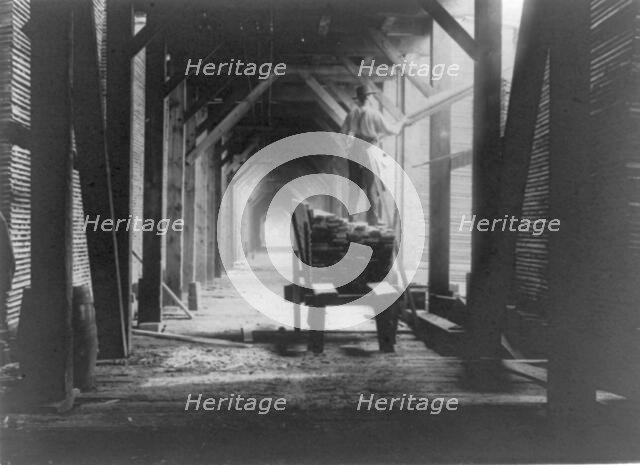Man standing on boards on cart in sawmill and stacking the boards, Duluth vicinity, Minnesota, 1903. Creator: Frances Benjamin Johnston.