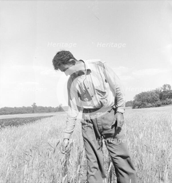 Member of the farming group on the project - Polish-Jewish born, Hightstown, New Jersey, 1936. Creator: Dorothea Lange.