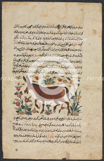 Text Page, Persian Prose (Recto); Khar (Ass) (Verso), 1400s. Creator: Unknown.