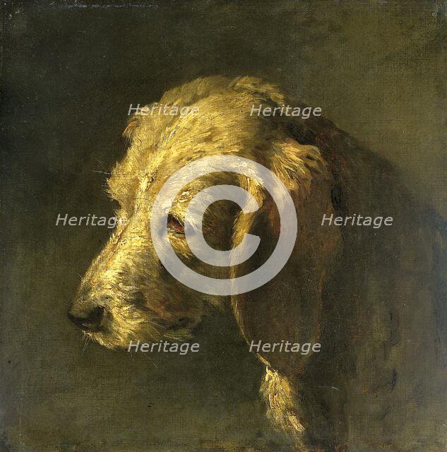 Head of a Dog, c.1820-c.1845. Creator: Nicolas-Toussaint Charlet.
