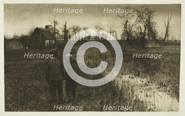 A Toad in the Path: Early Spring in Norfolk, c. 1883/87, printed 1888. Creator: Peter Henry Emerson.
