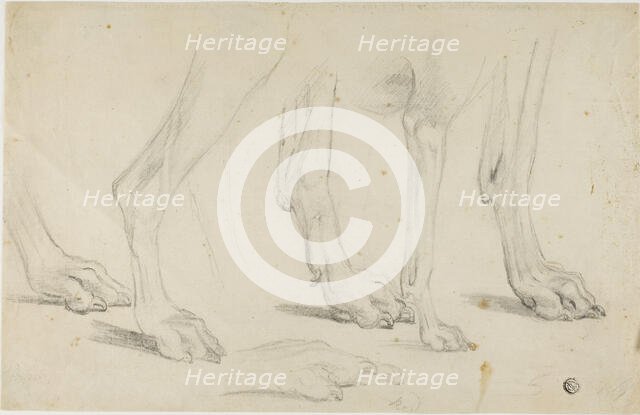 Dog Paws, n.d. Creator: Sawrey Gilpin.