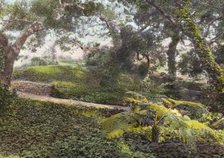 "Glen Oaks," James Hobart Moore house, East Valley Road, Montecito, California, 1917. Creator: Frances Benjamin Johnston.
