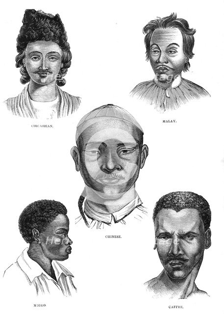 'Mongolian Races', 19th century. Artist: Unknown