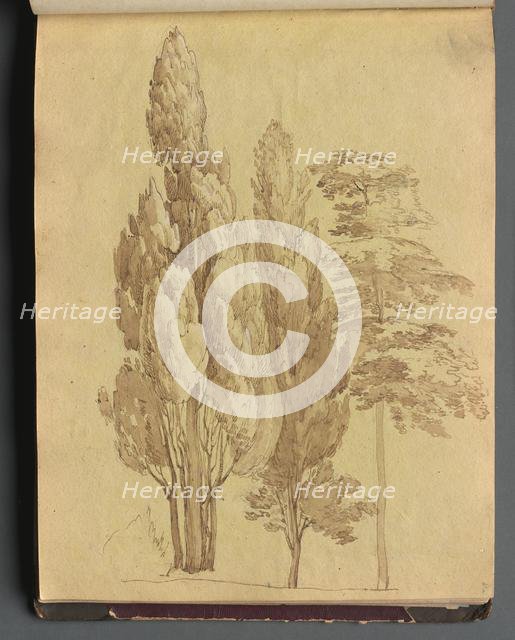 Album with Views of Rome and Surroundings, Landscape Studies, page 15a: Trees. Creator: Franz Johann Heinrich Nadorp (German, 1794-1876).