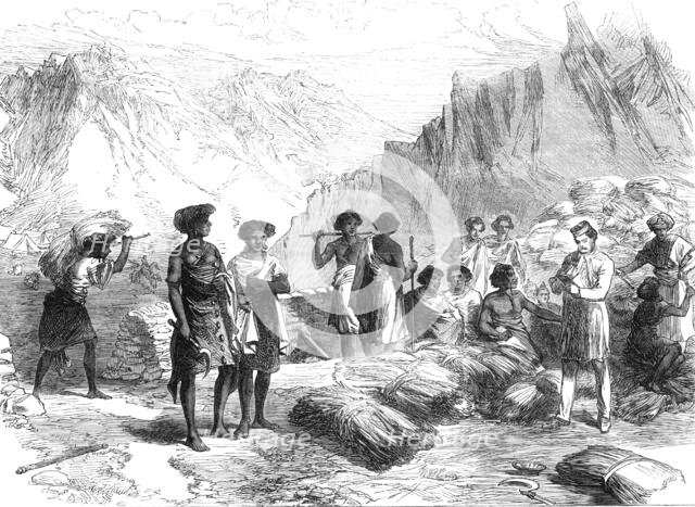 The British Expedition to Abyssinia: Shohos bringing in grass to the Commissariat, Undel Wells, 1868 Creator: Unknown.