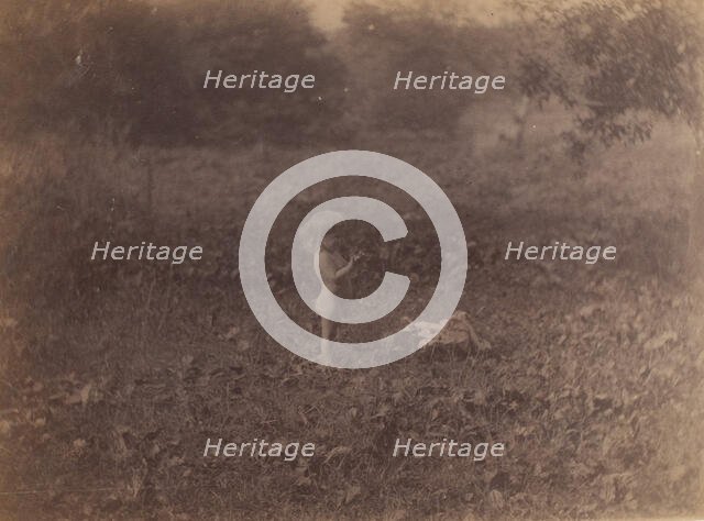 Katie Crowell in Avondale, Pennsylvania, 1887., 1887. Creator: Thomas Eakins.