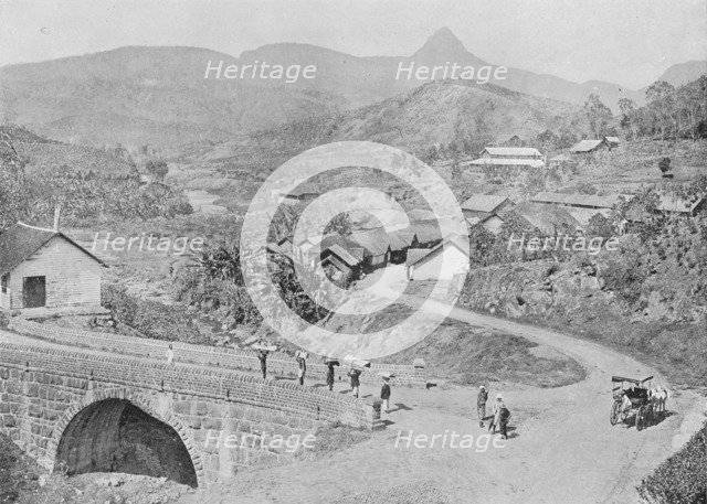 'View of Maskeliya showing Adam's Peak', c1890, (1910). Artist: Alfred William Amandus Plate.