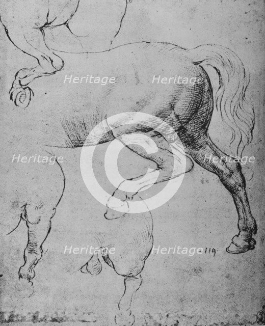 'Studies of the Hind-Quarters and of the Hind-Legs of a Horse', c1480 (1945). Artist: Leonardo da Vinci.