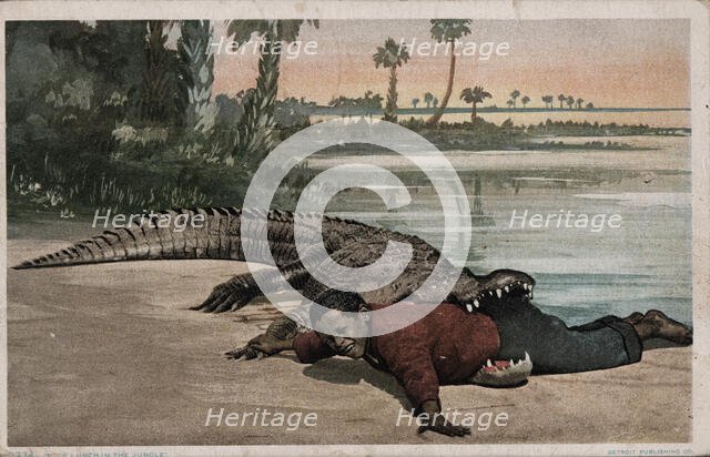 Free Lunch in the Jungle, ca.1898 - 1931. Creator: Detroit Publishing Company.