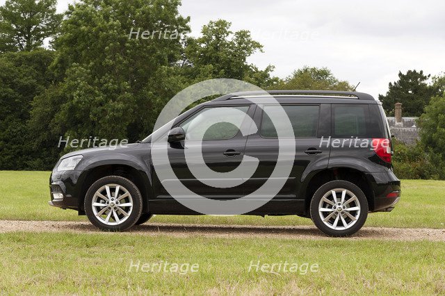 2014 Skoda Yeti SE Artist: Unknown.