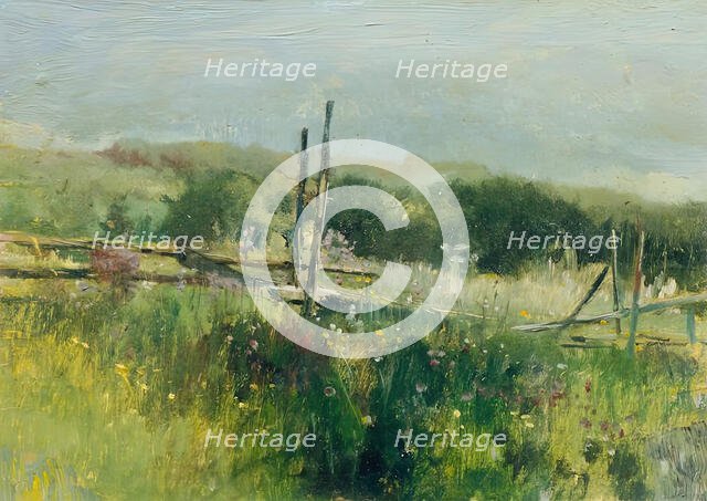 Meadow with fence, c1870/1880. Creator: Johann Till.