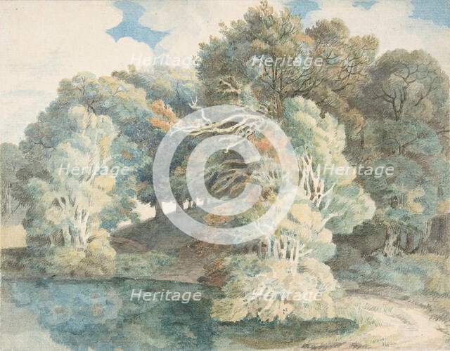 Trees by the Lake, Peamore Park, near Exeter, Devon, 1790-1810. Creator: Francis Towne.