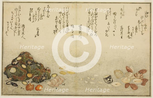 Ashi-gai, hamaguri, ko-gai, suzume-gai, akoya-gai, and katashi-gai, from the illustrated..., 1789. Creator: Kitagawa Utamaro.