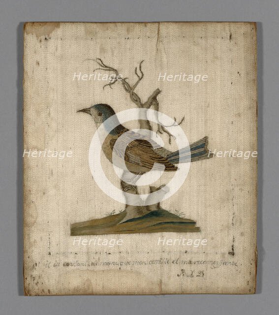 Picture of a Bird, France, 18th century. Creator: Unknown.