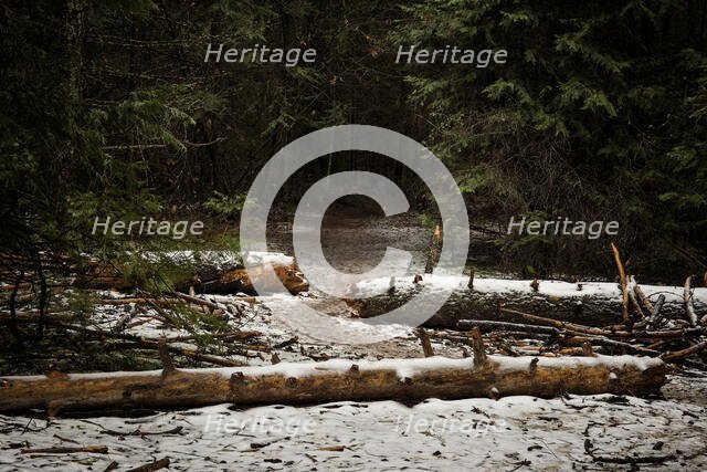 Where it Begins. Creator: Joshua Johnston.