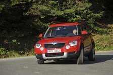 Skoda Yeti 2009. Artist: Simon Clay.