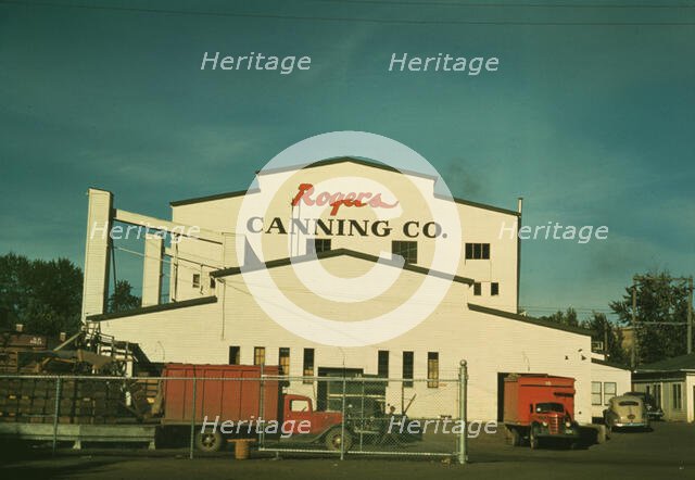 Canning plant where peas are principal project, Milton-Freewater, Oregon, 1941. Creator: Russell Lee.