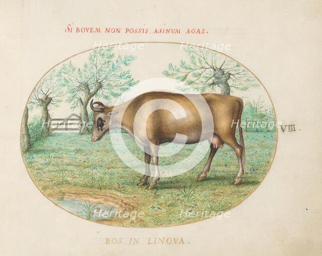 Animalia Qvadrvpedia et Reptilia (Terra): Plate VIII, c. 1575/1580. Creator: Joris Hoefnagel.