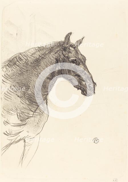 Old Horse (Le vieux cheval), 1897. Creator: Henri de Toulouse-Lautrec.
