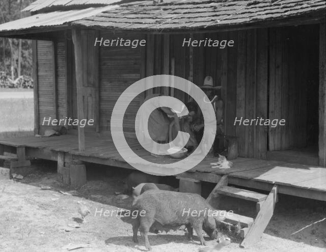 Turpentine worker's home, Georgia, 1937. Creator: Dorothea Lange.