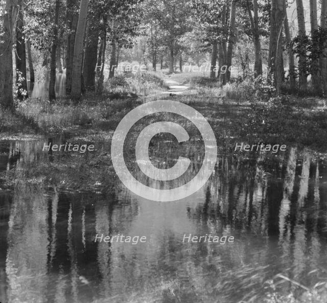 Travel views of Yosemite National Park, between 1903 and 1906. Creator: Arnold Genthe.