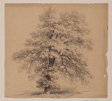 Switzerland, September 15, 1840. Creator: John William Casilear.