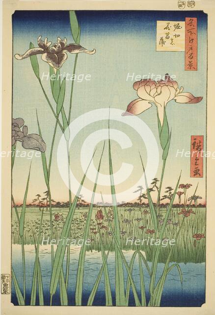 Irises at Horikiri (Horikiri no hanashobu), from the series "One Hundred Famous Views of..., 1857. Creator: Ando Hiroshige.