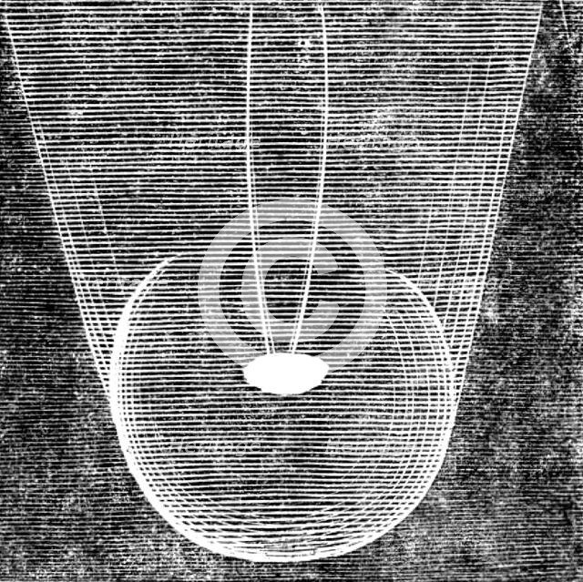 Telescopic Appearances of Donati's Comet, as seen from the Cambridge Observatory, Sept 30, 8pm, 1858 Creator: Unknown.