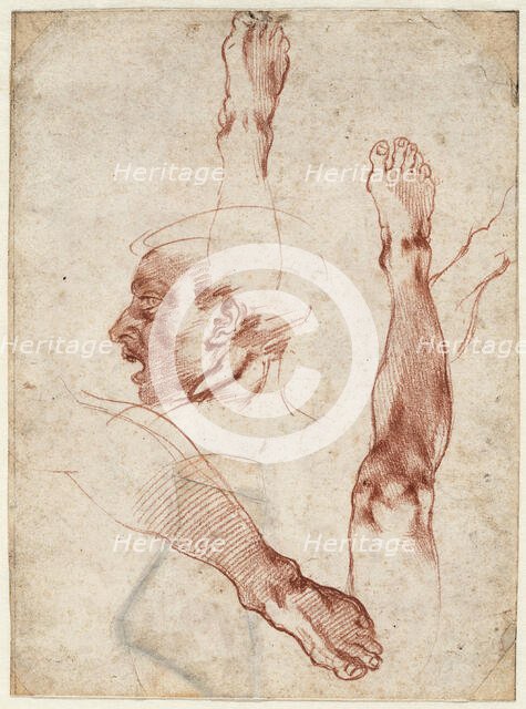 Male head in profile, studies of limbs, 1511. Creator: Buonarroti, Michelangelo (1475-1564).
