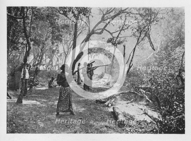 'Elephant Kraaling in Ceylon Towards the Stockade', c1890, (1910). Artist: Alfred William Amandus Plate.