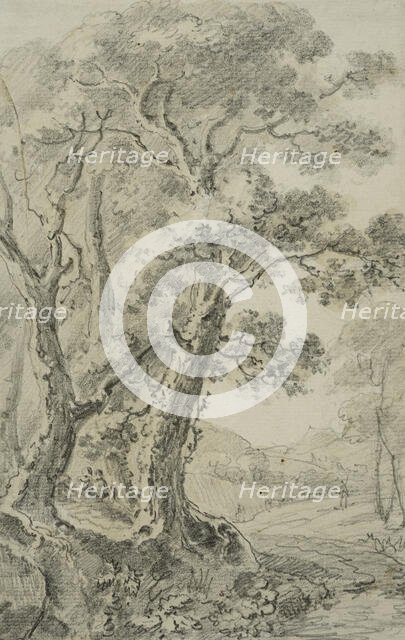 Landscape with tall trees in the foreground, unknown date. Creator: Anon.