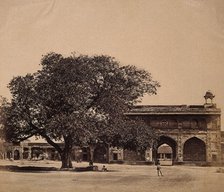 India: a tree in the grounds of a palace under which three hundred Europeans were murdered, c1858. Creator: Felice Beato.