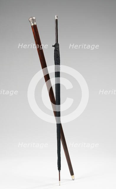 Cane, American or European, 1880-89. Creator: Unknown.