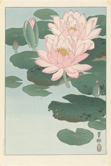 Water Lilies, 1920-1930. Creator: Ohara, Koson (1877-1945).
