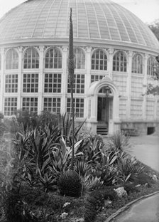 Botanical Gardens, 1917 or 1918. Creator: Harris & Ewing.
